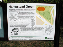 Hampstead Green