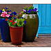 Old Town Alley Potted Plants