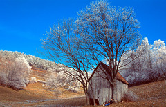 Cabane au col du Wettstein