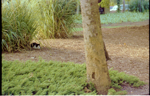 1983-Hilton_Head_0012