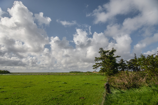 Wolken - 20130523