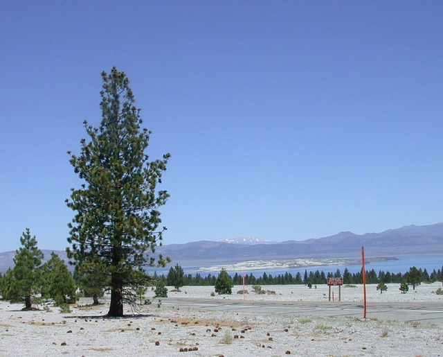 Mono Lake, CA