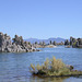 Mono Lake, CA 2545a