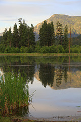 Sinlahekin Morning