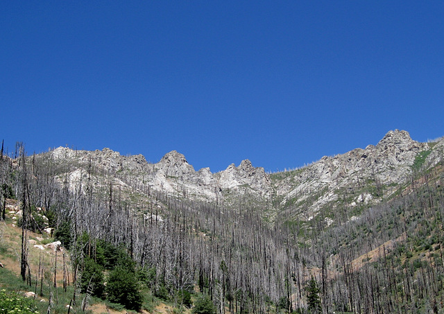 Sequoia NF, Sherman Pass Rd 3174a