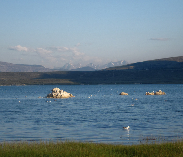 Mono Lake, CA 1065a