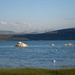 Mono Lake, CA 1065a