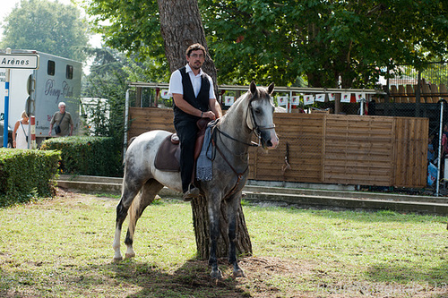 Cavalier à Mauguio.