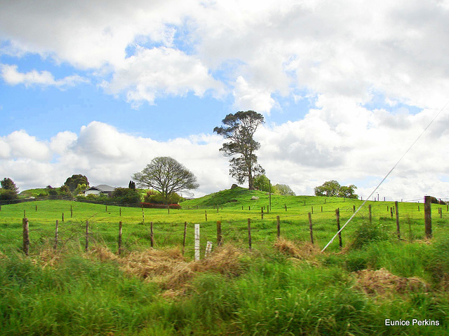 Near to Tokoroa