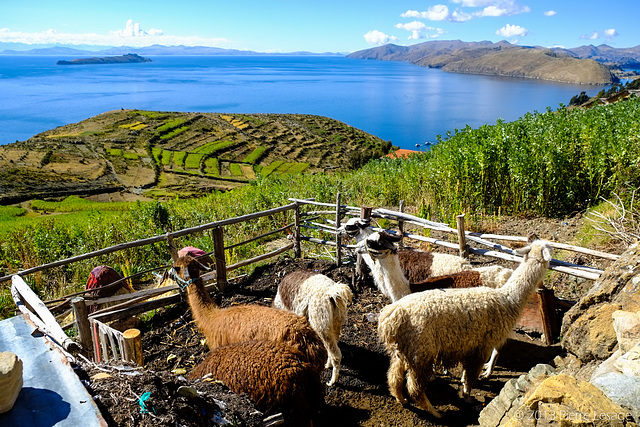 Yumani - Isla del Sol - Lago Titicaca - Bolivia