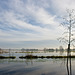 Flooded fields in winter light - 2