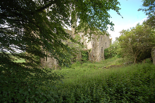 Rothie Castle, Aberdeenshire (39)