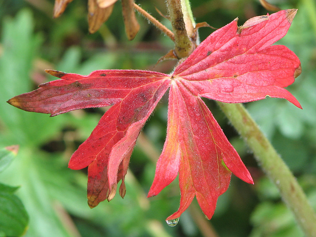 Fall is on its way