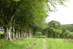 Rothie Castle, Aberdeenshire (4)
