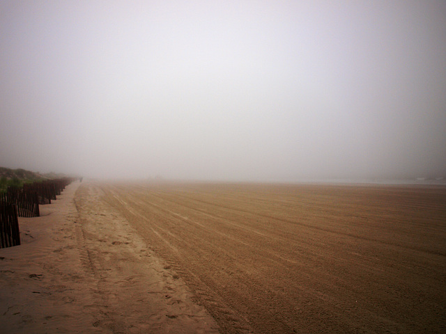 foggy mornin' tracks