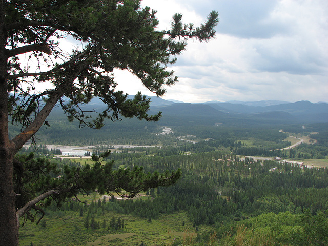 A view from Fullerton Loop