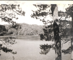 Northern Wisconsin, 1961