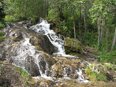 Big Hill Springs park