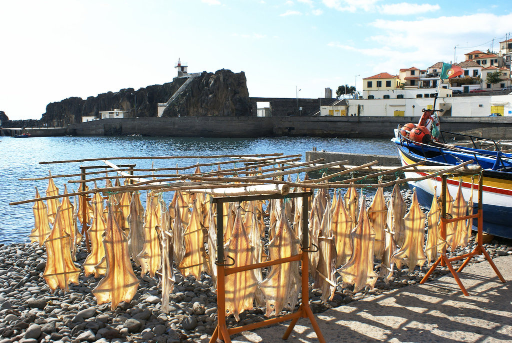 Im Hafen von Camara de Lobos. Stockfischproduktion. ©UdoSm