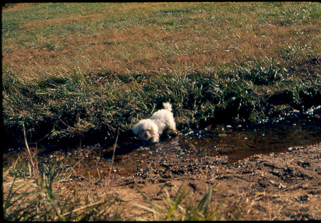 1973, Fall - In and around Washington, DC