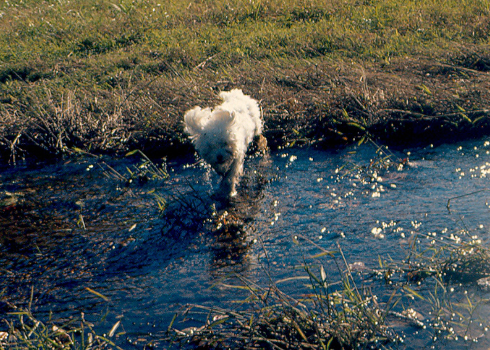 1973, Fall - In and around Washington, DC