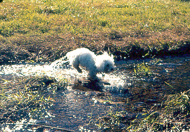 1973, Fall - In and around Washington, DC