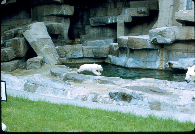 1973, Fall - In and around Washington, DC