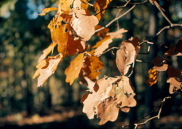 1973, Fall - In and around Washington, DC