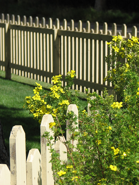 A corner of the garden