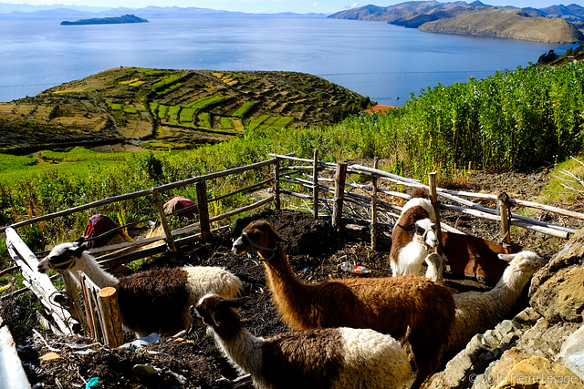 Yumani - Isla del Sol - Lago Titicaca - Bolivia