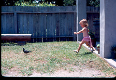 Ask this child what she most remembered of the day's activities, and "chasing the birds" will be her reply.  Her parents will agree. Augustine, 1977