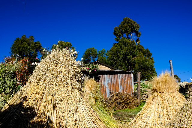 Yumani - Isla del Sol - Lago Titicaca - Bolivia