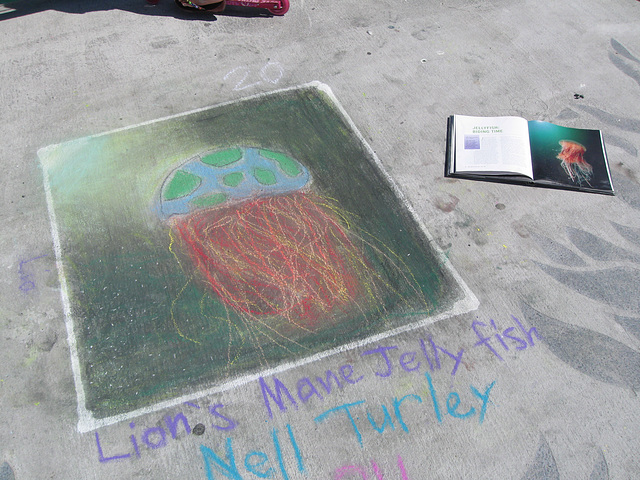 Chalk Art Jellyfish