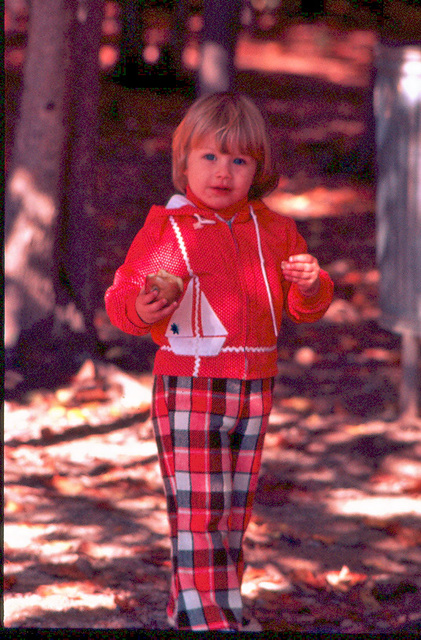 October Picnic With the Porters, 1977