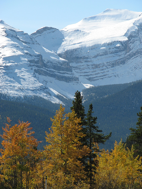 Fall at Cobble Flats