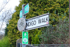 Indigo Walk