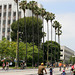 CicLAvia Wilshire (2502)