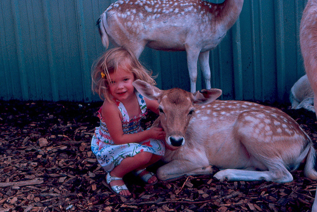 At Home, 1977