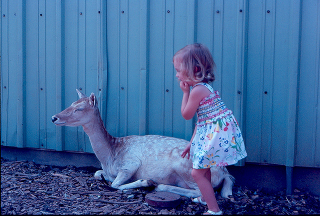 At Home, 1977