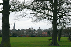 From Lyttleton Playing Fields