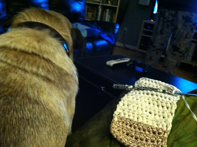 Pug and Crochet