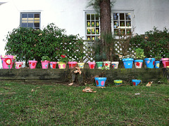 (S)potted in a Schoolyard