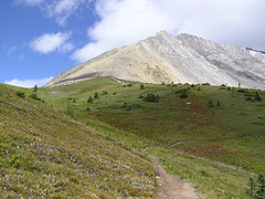 Ptarmigan Cirque Trail, Kananaskis