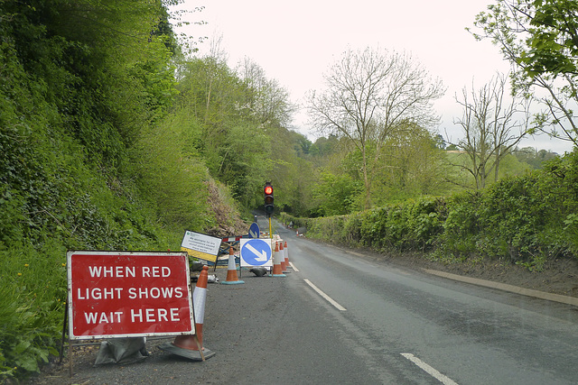 Forest of Dean 2013 – Traffic light