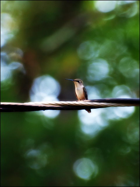 posing with bokeh