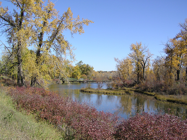 Inglewood Bird Sanctuary