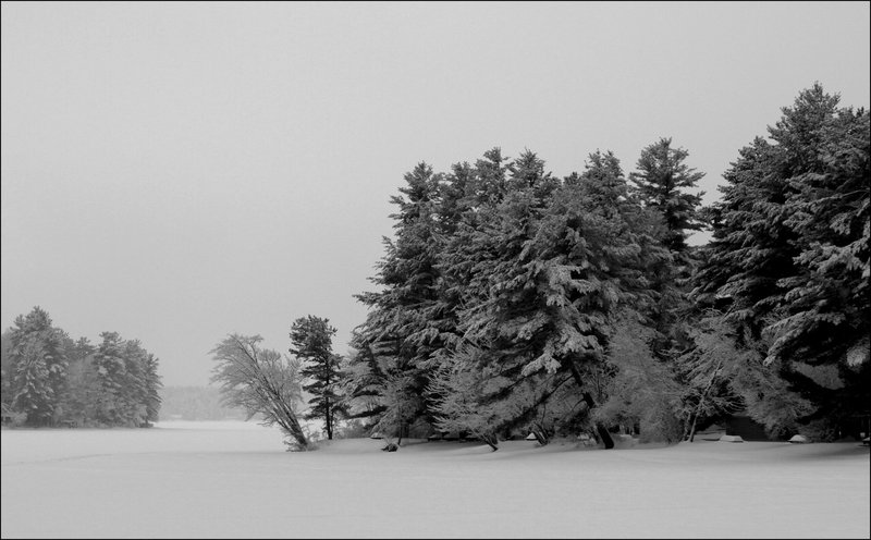 snowy shoreline