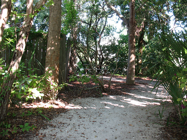 The Mangrove Walk...