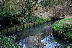 Mutton Brook