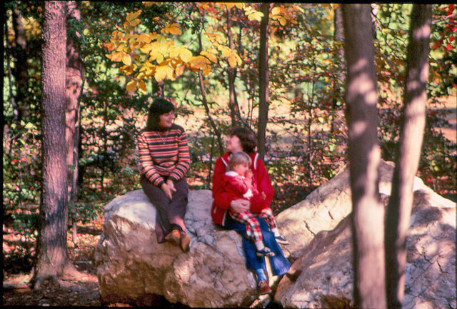 October Picnic With the Porters, 1977